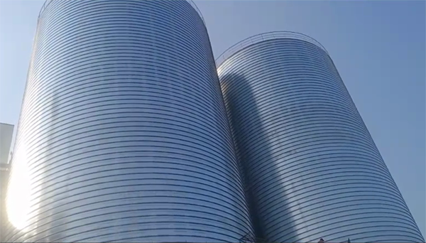 岚县2座混凝土高架卷板仓